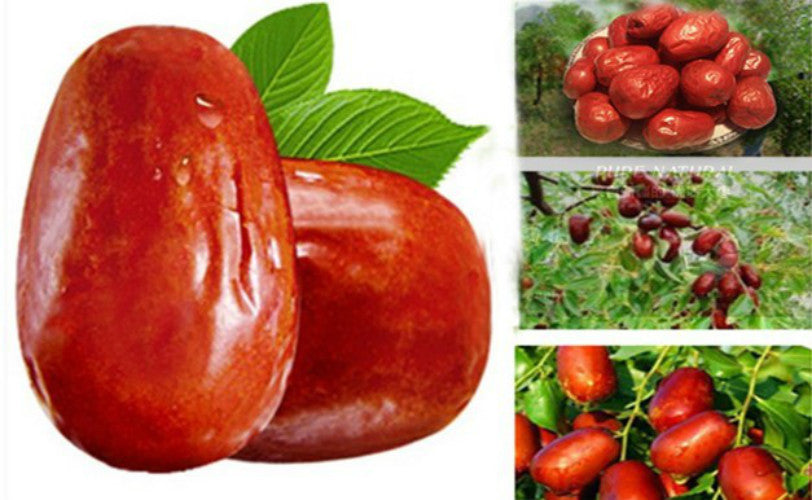 250g Organic Dried Red Dates (Spring Jujube) Chinese Herbal Green Food