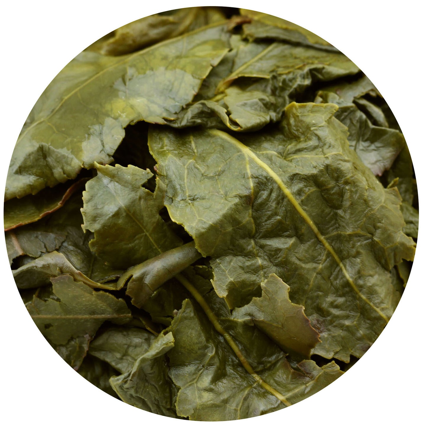 GOARTEA 250g Top Tie Guan Yin Oolong Tea Fujian Anxi High Mount Iron Goddess Tea-