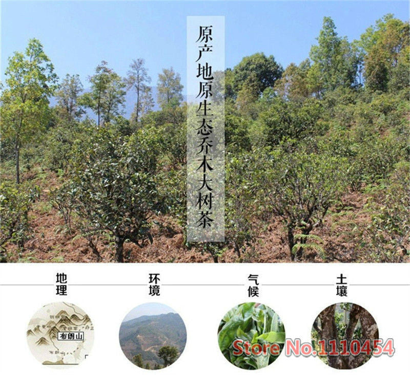 250g Ripe PuEr Tea High quality Yunnan Pu'er Puerh Tea Puer Tea Puer Pu'er Tea