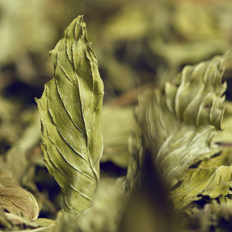Mint Leaf Herbal Tea 25g Dried Mint Leaf Tea Fresh Mint Tea Edible Herbal Tea