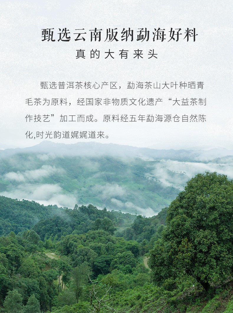 2008 Menghai Tea Factory 8582 TAETEA Dayi Raw Pu-erh Tea Cake 357g