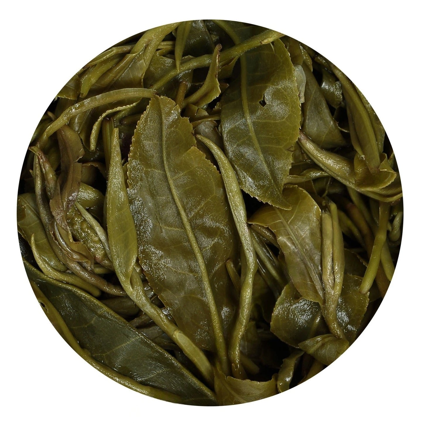 Nonpareil Supreme Suzhou Biluochun Green Tea Spring Snail Pi lo Chun