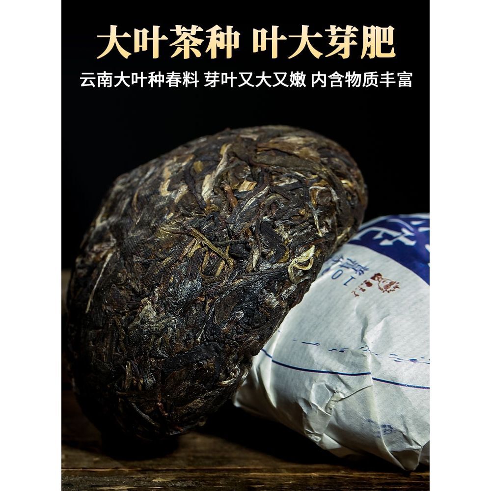Menghai A Tuo Puerh Tea Raw Tea Golden Bud Tuo Tea Yunnan Ancient Tree Raw Tea