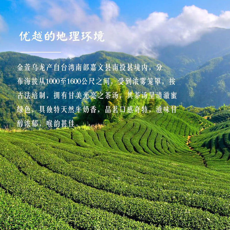 Milk oolong Loose Tea Leaves Oolong Tea Green tea organic loose leaf tea