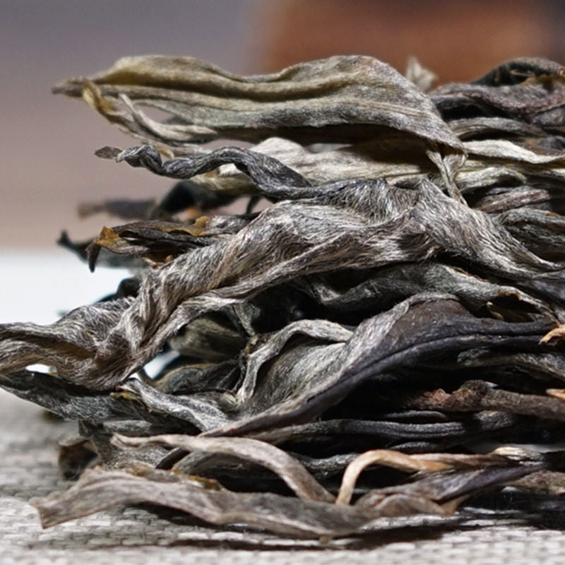 Yunnan Puerh Tea Spring Tea Old Tree Puerh Tea Raw Tea