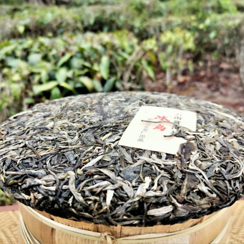 357g Icelandic Bingdao Ancient Tree Pu-erh Tea High Quality Cha Pu'er Tea Cake