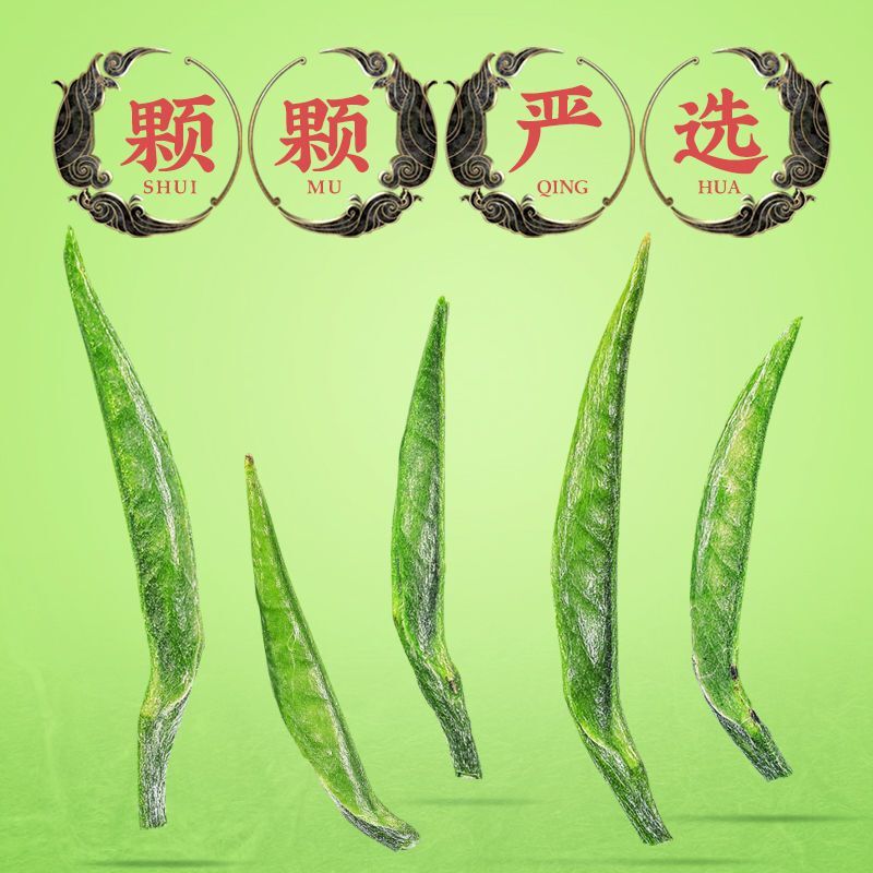 Queshe(sparrow-tongue) Tea New Tea Mingqian Green Tea High Mountain Green Buds