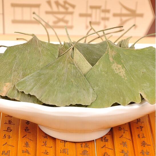 500g Pure Natural Anti-aging Green Herbal Tea Dried Ginkgo Biloba Leaf Tea