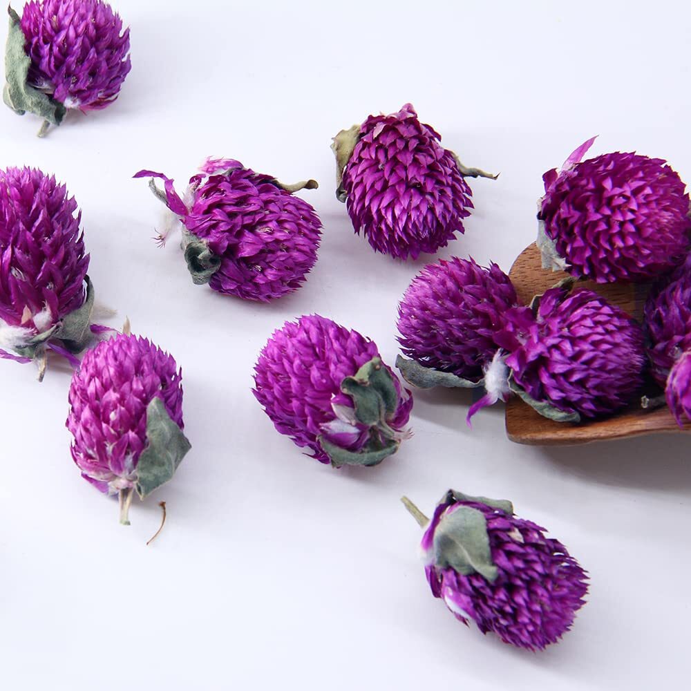 Dried Gomphrena Globosa Flower Tea Blooming Flower Tea Herbal Tea 1.75oz/50g