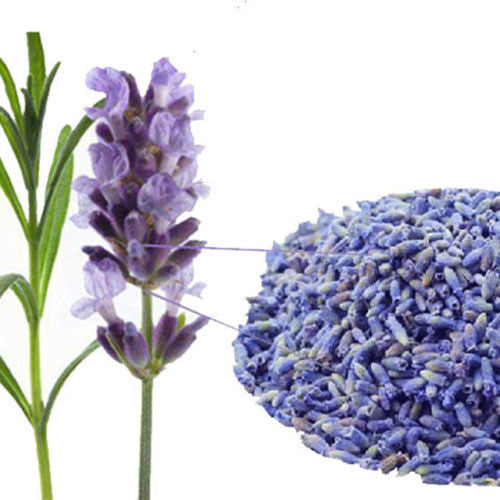 50g Lavender Dried Flower Tea Floral Organic Herbal Tea Good for Sleep Beauty CN