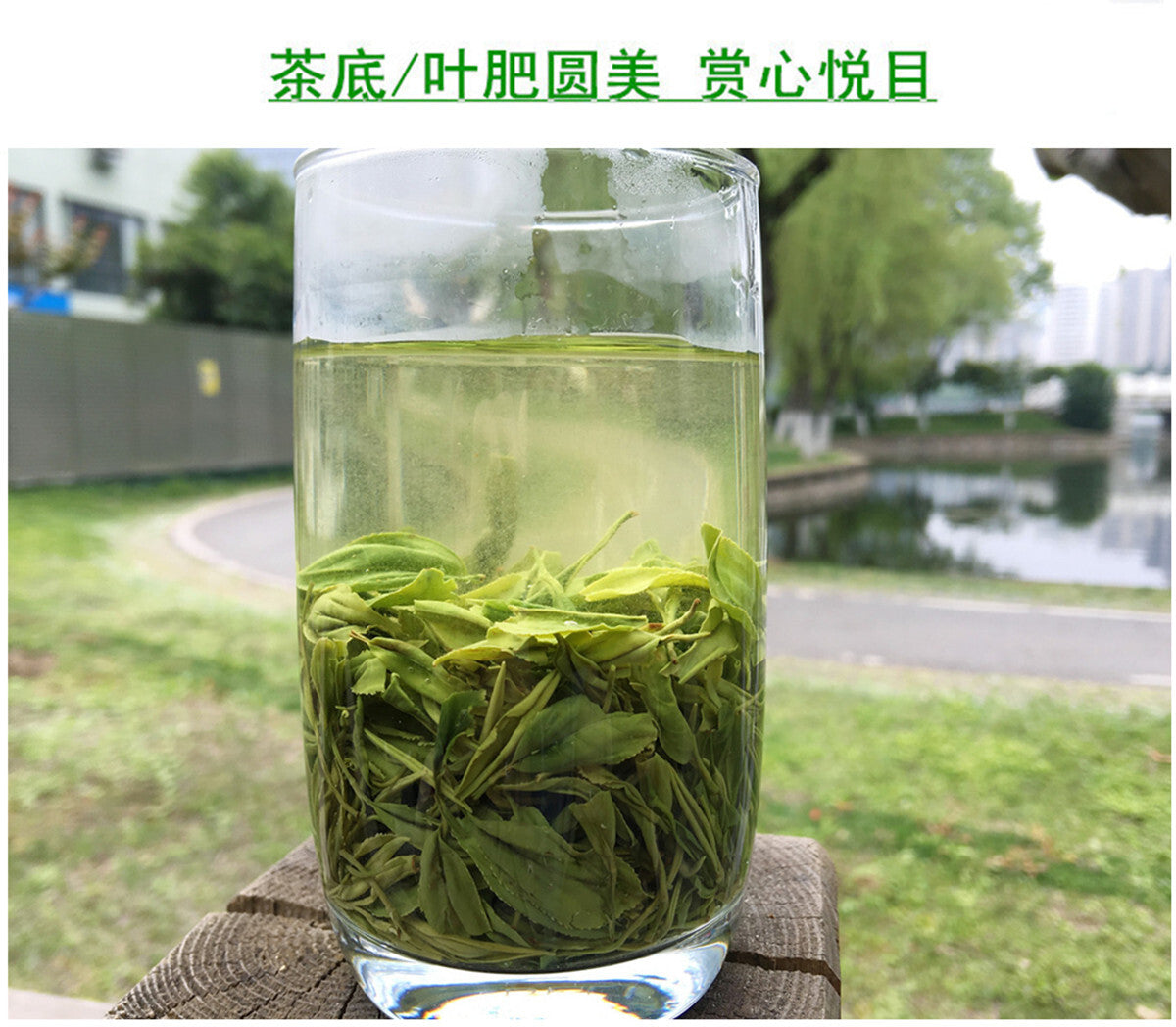 Premium Hubei En Shi Yu Lu Jade Dew Tea EnShi Se-Tea High Mountain Green Tea