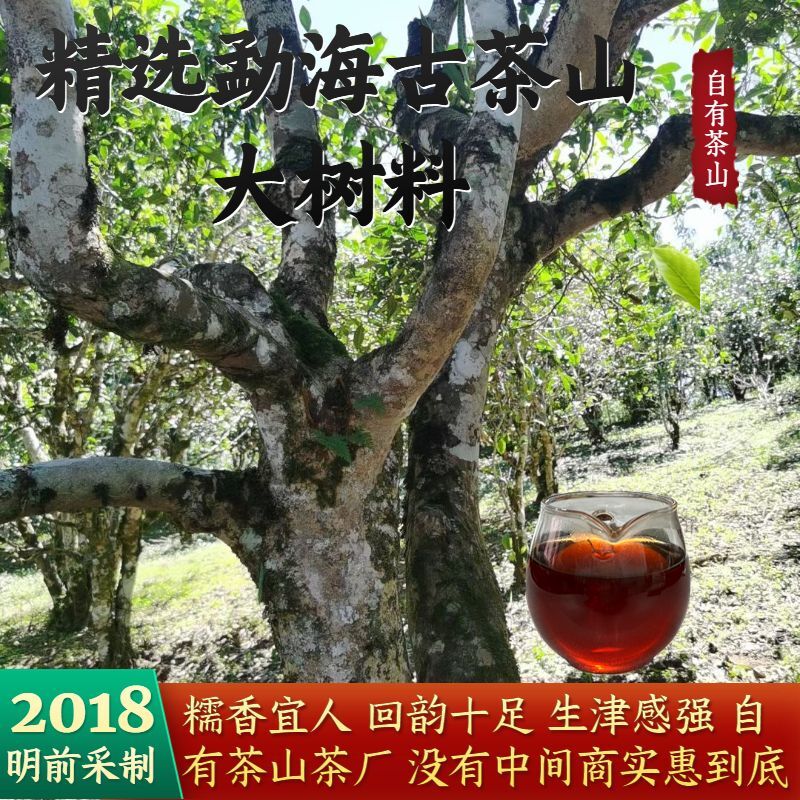 Yunnan Impression Puerh Tea Ripe Tea Puerh Tea 357g
