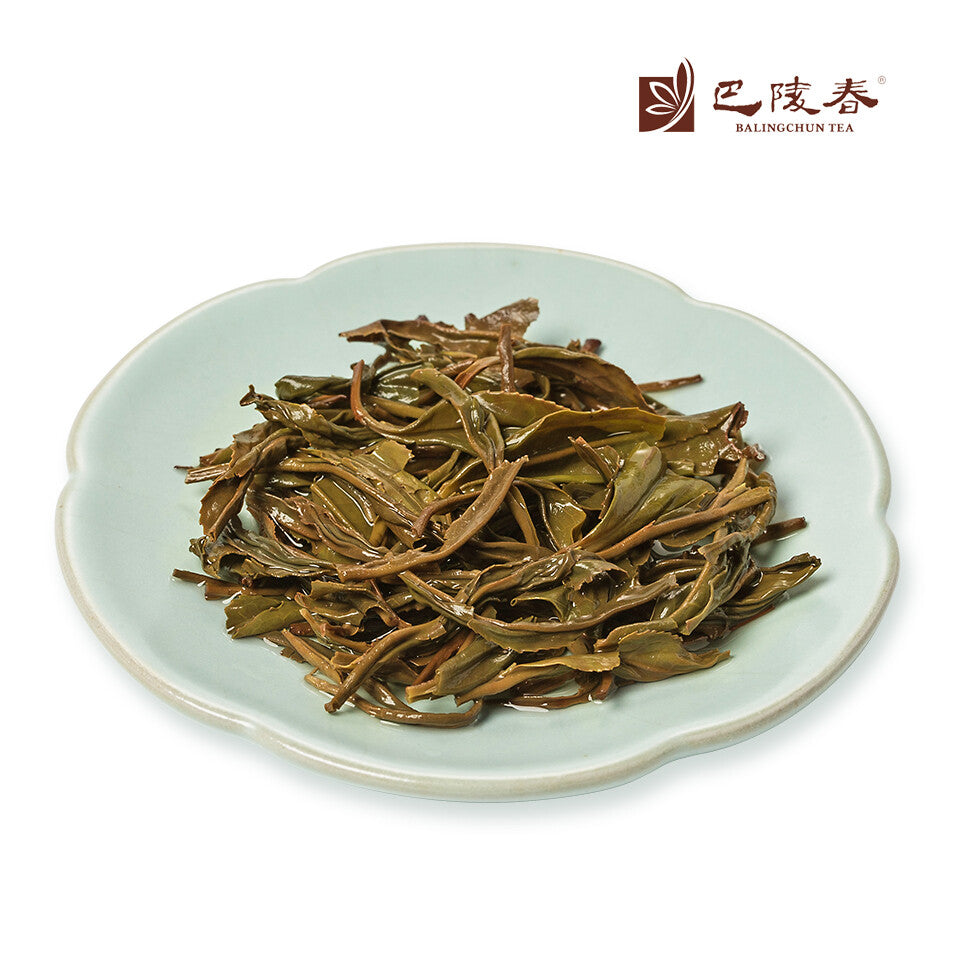 New Spring Tea Yellow tea Maojian Tea Chinese Fresh Mao Feng Green Tea 228g 毛尖