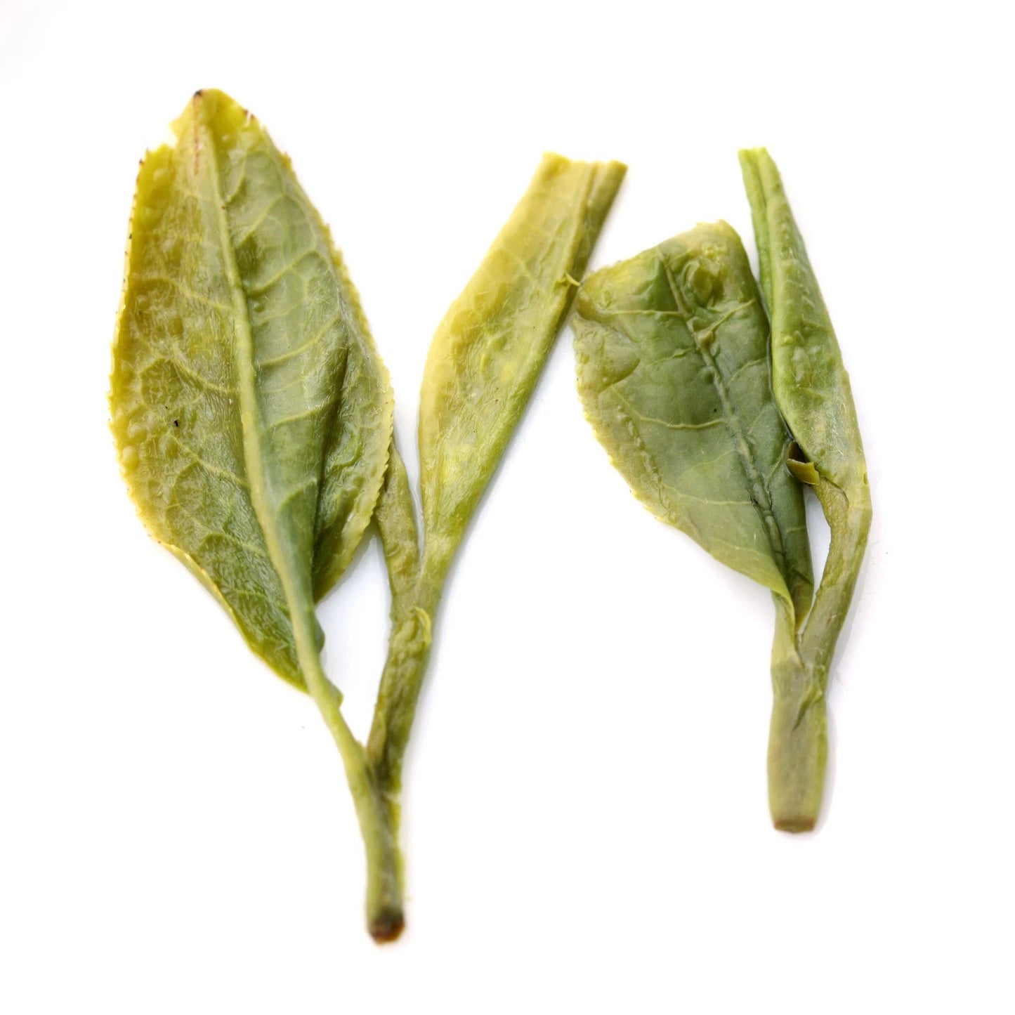 Supreme Xihu Longjing Dragon Well Chinese Green Tea Spring Loose Leaf