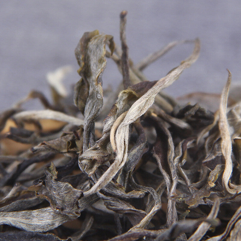 500g Pu-erh Raw Tea Loose Tea 凤凰山古茶园头春凤凰窝散普