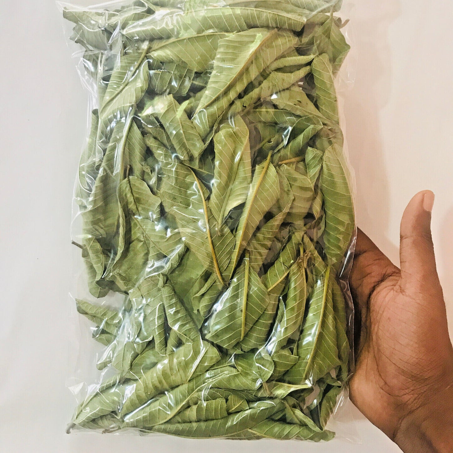 Guayaba Leaf 50 g-500 g Premium Dried Guava Leaves Hojas De