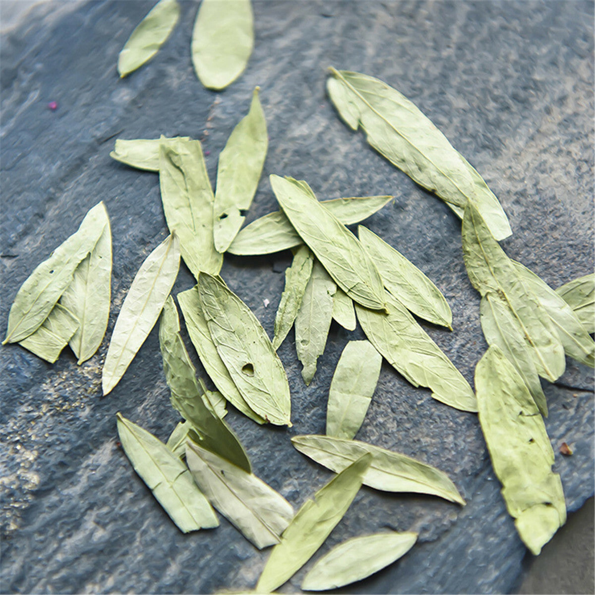 Senna Leaf Panxie Powder Green Tea Pure Natural Non-flower Tea Healthy Tea