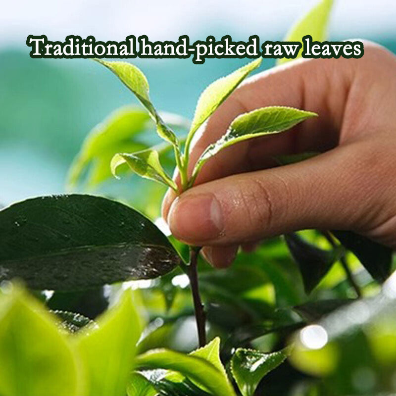 Milk Oolong Tea Green Tea | Loose Leaf Chinese Premium Tea Natural