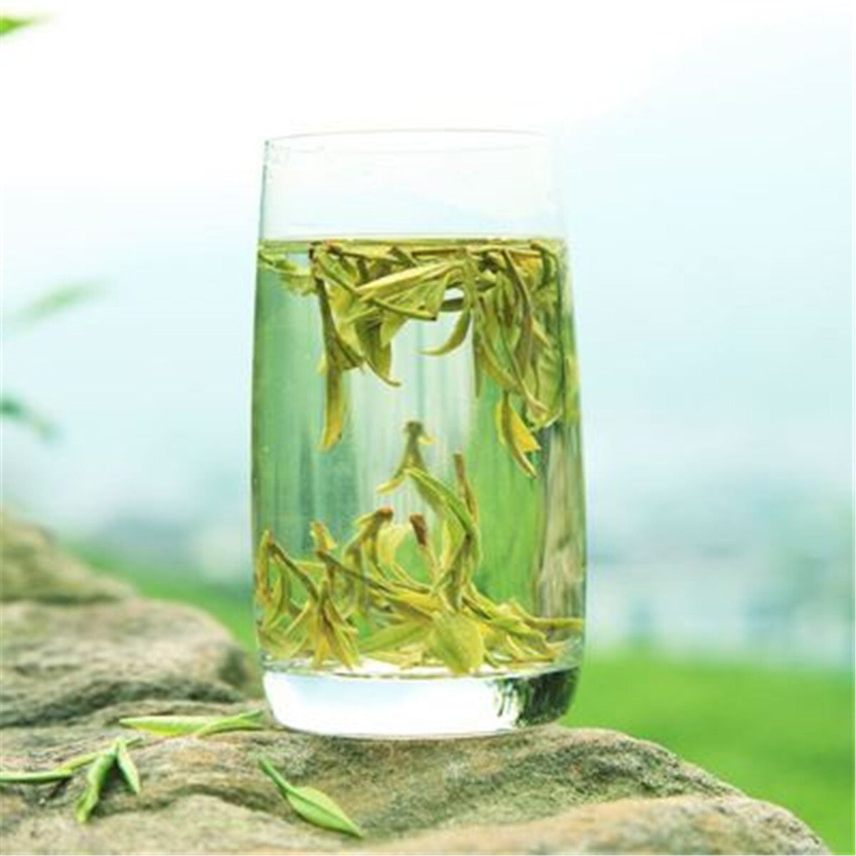 West Lake Longjing Tea Organic Tea Green Tea Mountain Rain Before Authentic