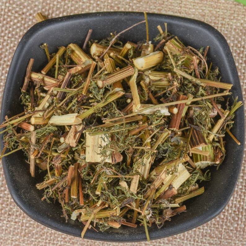 Organic Sweet Wormwood Herb Premium Artemisia Annua Qinghao Great Quality