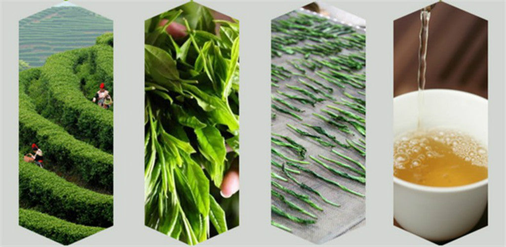 Green Tea TaipingHoukui Tea Fresh Organic Nature Tai Ping Hou Kui Tea Top Grade