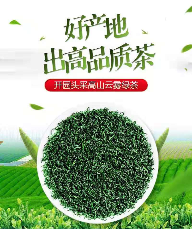High Mountain Cloud Mist Green Tea • Premium Organic Chinese Tea • Fresh & Smooth • Antioxidant-Rich