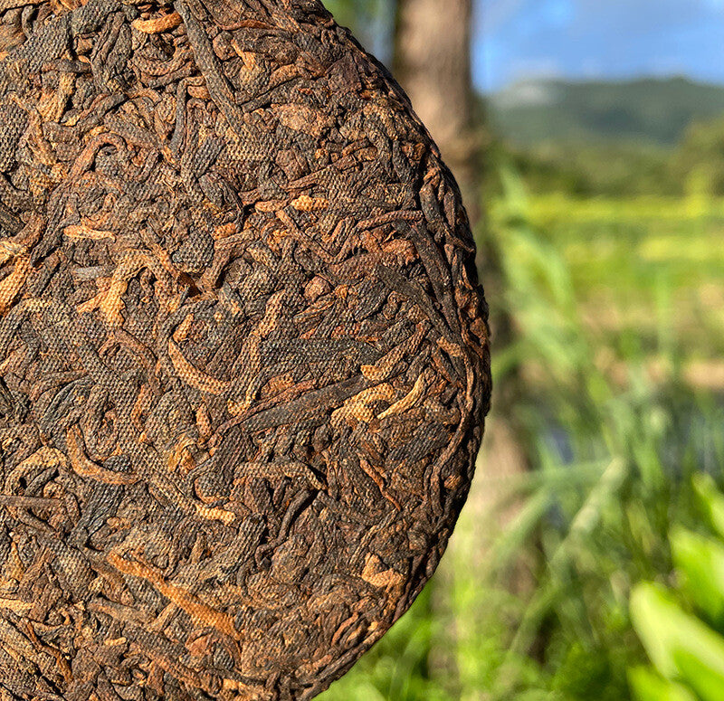 Brown Mountain Spring Tea Brown Mountain Ripe Tea Pu-erh Ripe Tea 100g
