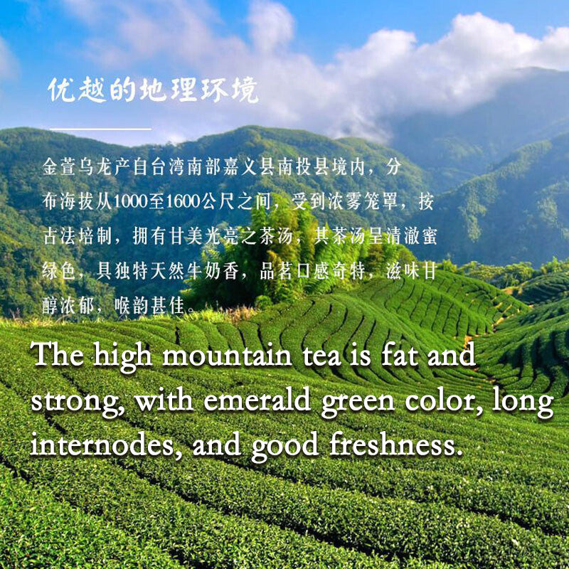 JinXuan Milk Oolong Tea Milk Flavor Taiwan Green Tea Organic Loose Leaf Tea