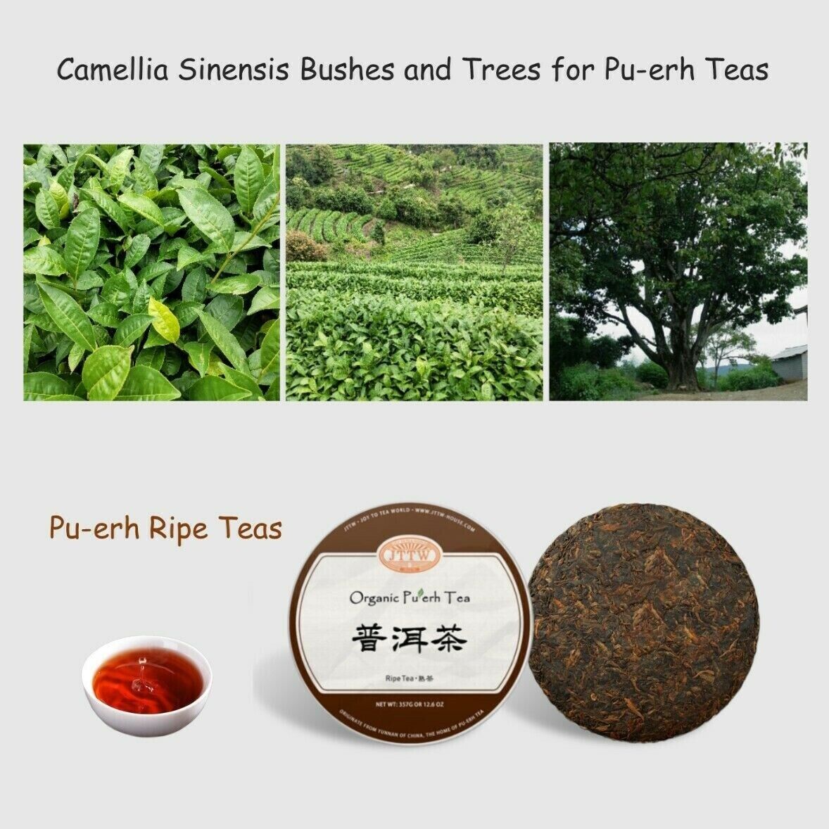 Organic Pu-erh Tea Puer Tea Ripe Tea in 357g Compressed Tea Cake Lose Weight