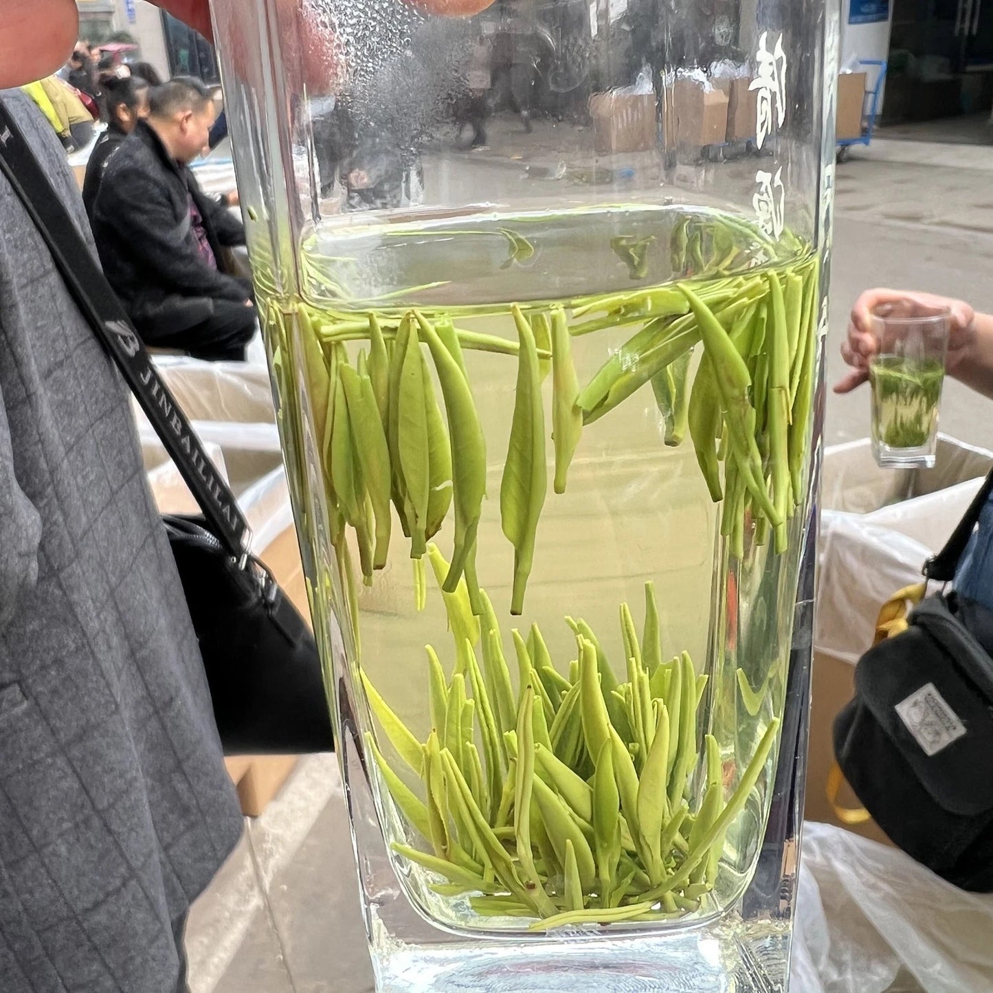 1000g High Mount Chinese Green Tea QUE SHE Loose Leaf Sparrow Tongue Tea