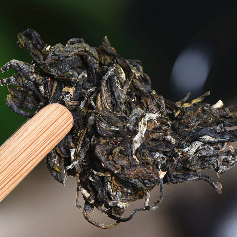 Cake Organic Big Tree Pu'er Green Tea Specialty Tea 357g Yunnan Pu-Erh Raw Tea