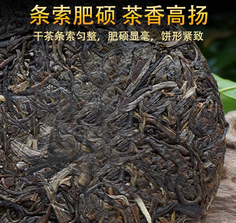 1000g Premium Yunnan Pu'er Tea Raw Tea Bulang Mountain Spring Tea Cake