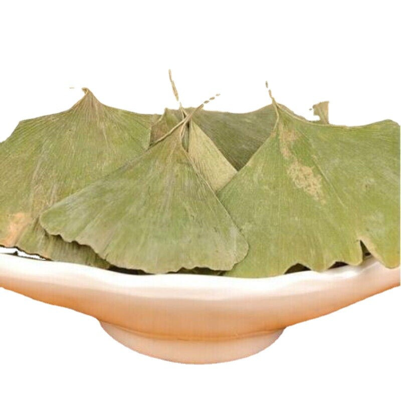 500g Pure Natural Anti-aging Green Herbal Tea Dried Ginkgo Biloba Leaf Tea
