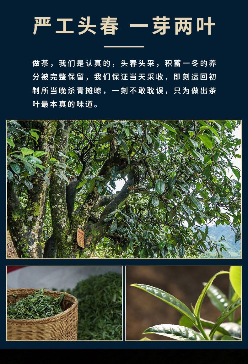 Pu-erh Green Tea Cake Laomaner Puerh Raw Tea Yunnan Ancient Tree Pu'er Tea 357g