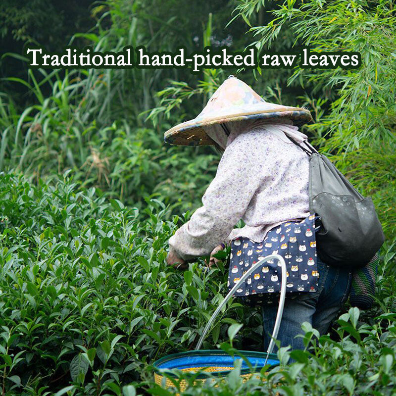 Premium Taiwan High Mountain Tea Alishan Tea Jinxuan Milk Oolong Tea 250g