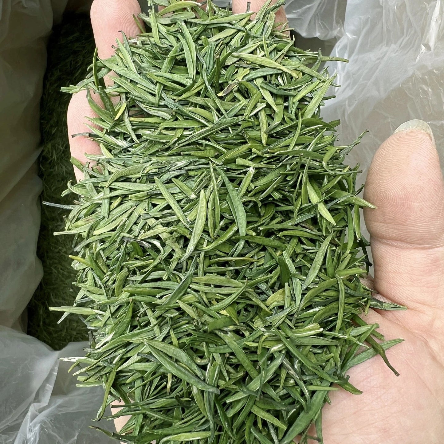 1000g High Mount Chinese Green Tea QUE SHE Loose Leaf Sparrow Tongue Tea