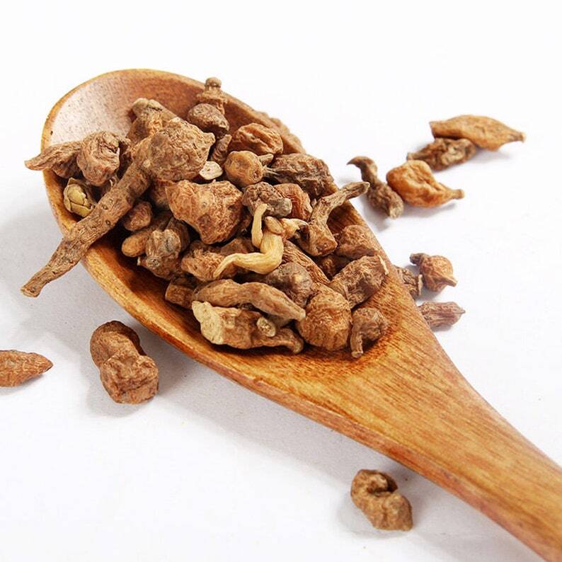 Recommend Dried Root of Silverweed Cinquefoil Premium Potentilla Anserina