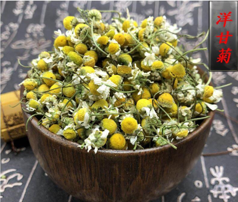 Premium Quality China Fresh Chamomile Tea Blooming Flower Tea Yellow Herbal Tea