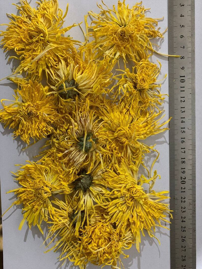 500g Golden Chrysanthemum tea,flower tea,flowers tea,chinese flower tea,