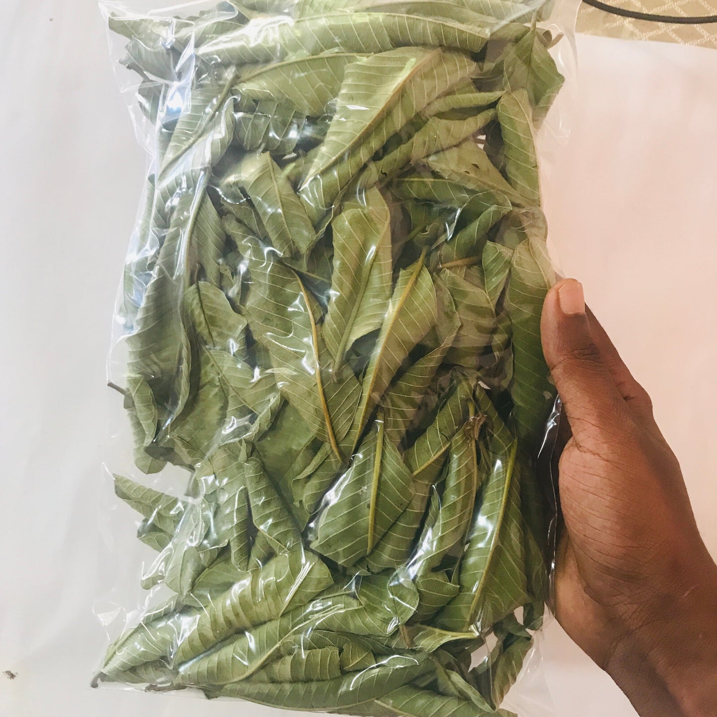 Guayaba Leaf 50 g-500 g Premium Dried Guava Leaves Hojas De