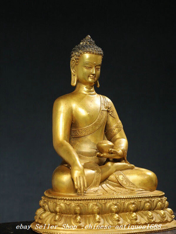 11.8" Old Tibet Bronze Gilt Shakyamuni Sakyamuni Amitabha Buddha Statue