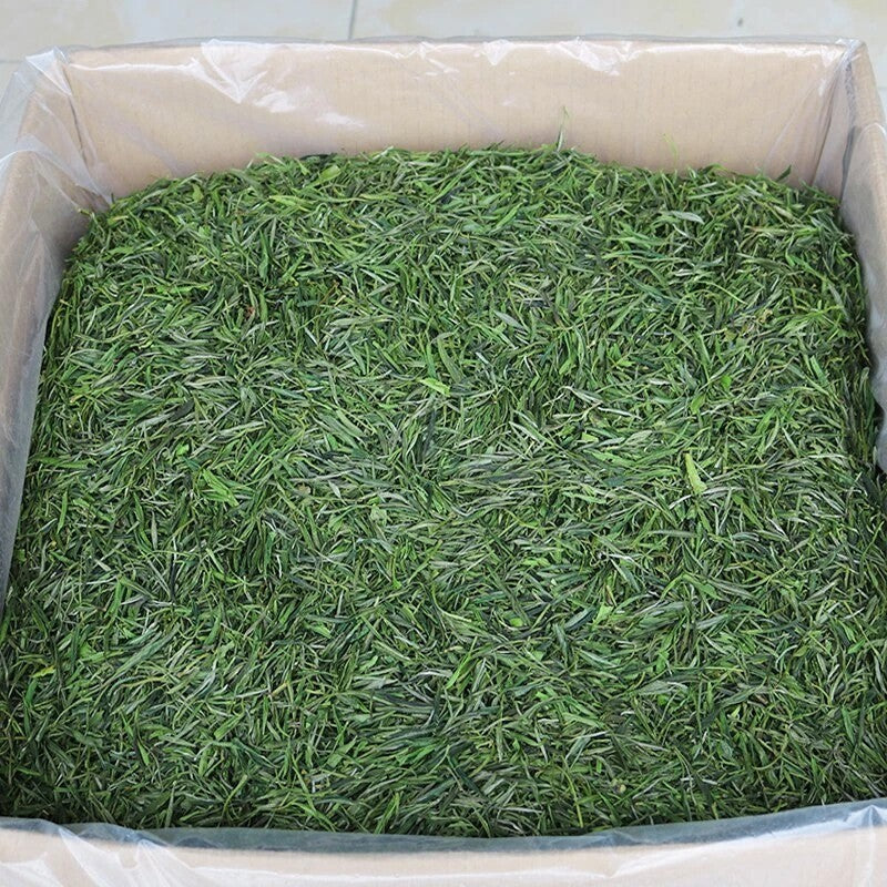 Huang Shan Mao Feng Green Tea Spring Maofeng Chinese Yellow Mountain Tea