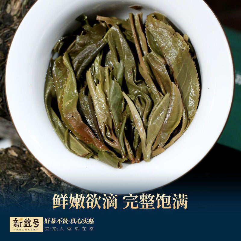500g Pu'er Tea Raw Tea 88 Green Brick 2020 Spring Tea Yunnan Ancient Tree Tea