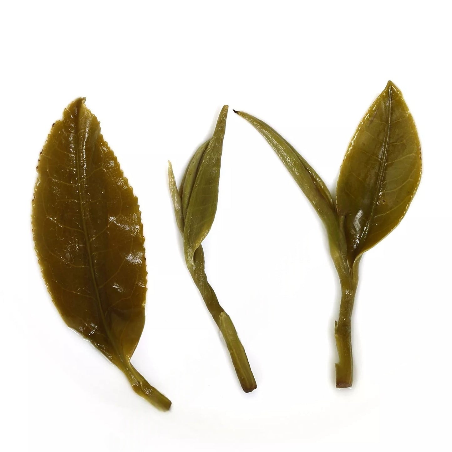 Nonpareil Supreme Suzhou Biluochun Green Tea Spring Snail Pi lo Chun
