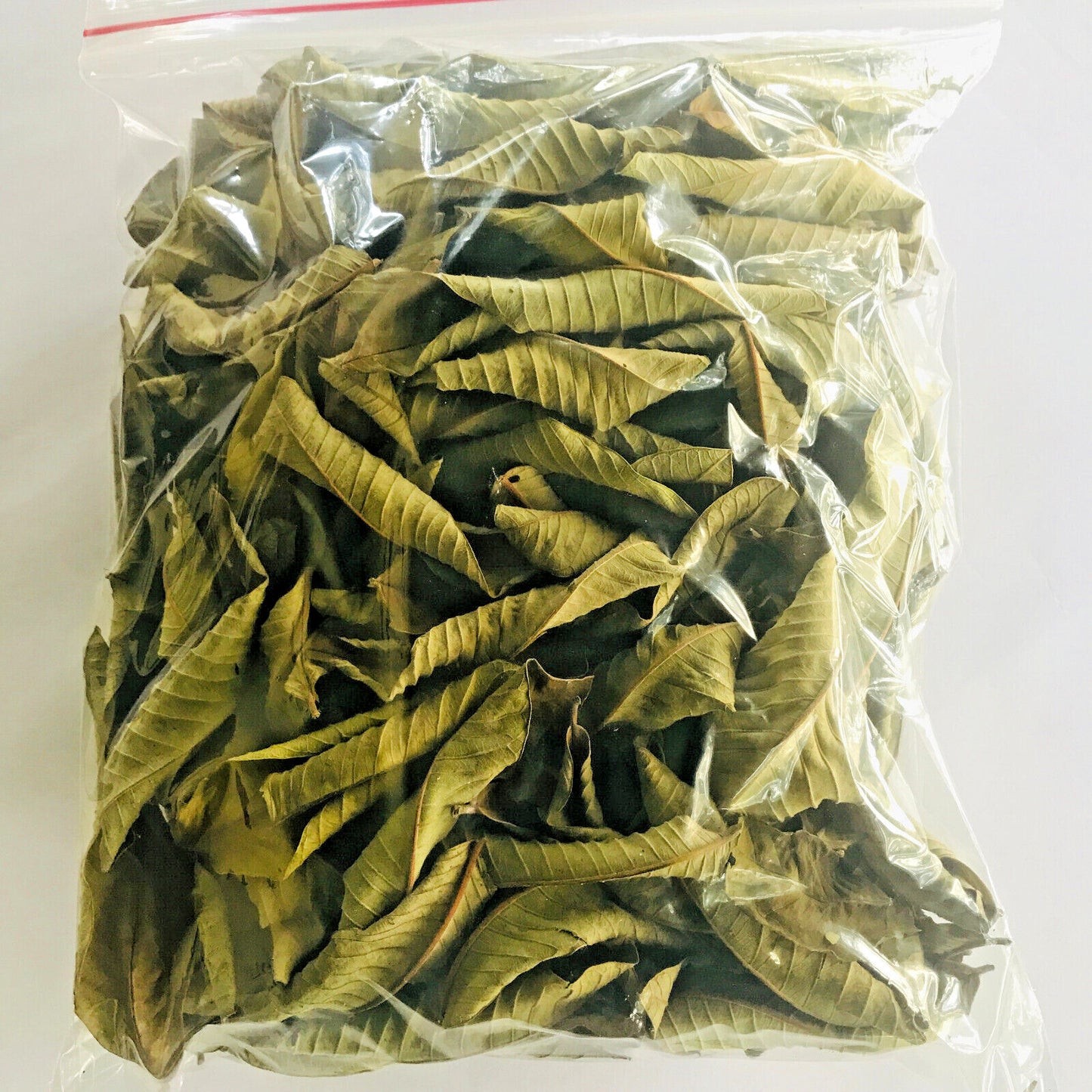 Guayaba Leaf 50 g-500 g Premium Dried Guava Leaves Hojas De