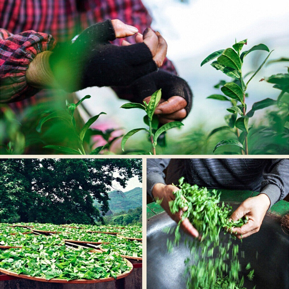 250g Wuyi Da Hong Pao Oolong Tea | Big Red Robe Loose Leaf Rock Tea Premium Tea