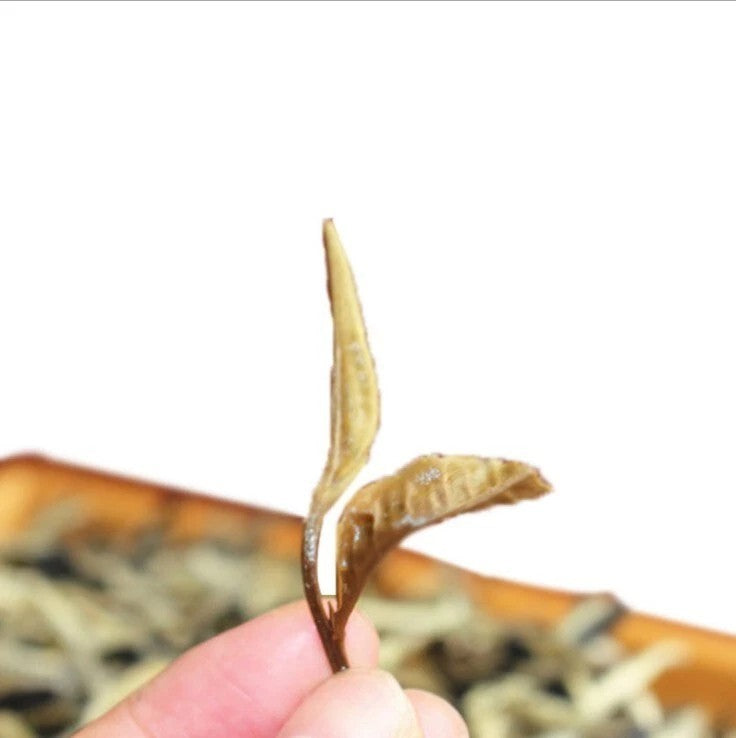 500g Puer tea moonlight beauty white tea moonlight puerh tea White Puer Tea