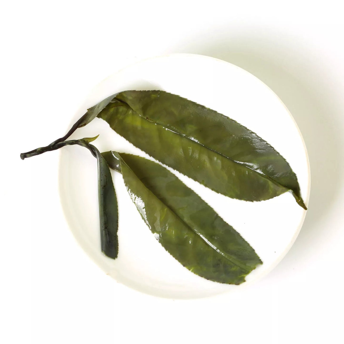 250g Premium Needle Kuding Bitter Herbal Green Tea Chinese Spike Large-leaf