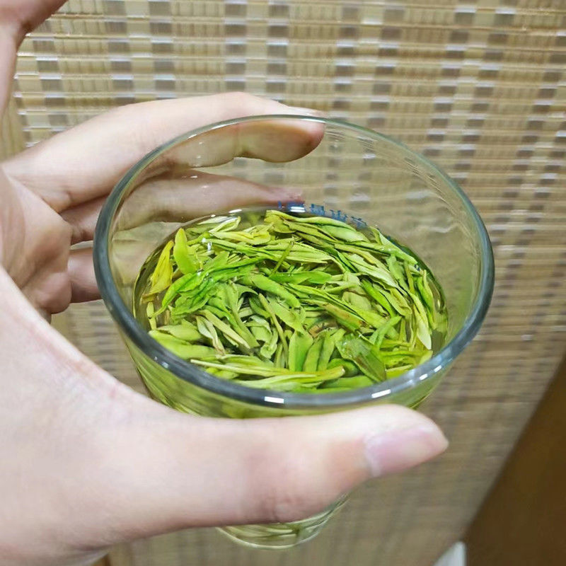 Longjing Green Tea Spring Harvest Individually Packaged Premium Tea Bags