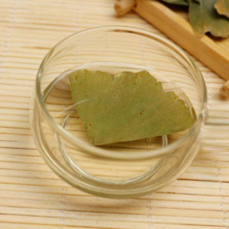 500g Pure Natural Anti-aging Green Herbal Tea Dried Ginkgo Biloba Leaf Tea